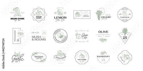 Healthy food logo template. Hand drawn illustrations for for restaurant, bar, vegan, healthy and organic food, market, farmers market, cooking school, food truck, delivery service. photo