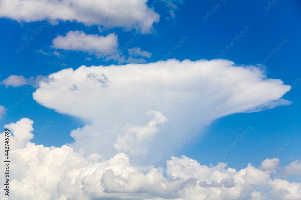 Unusual cumulus clouds in a bright blue sky