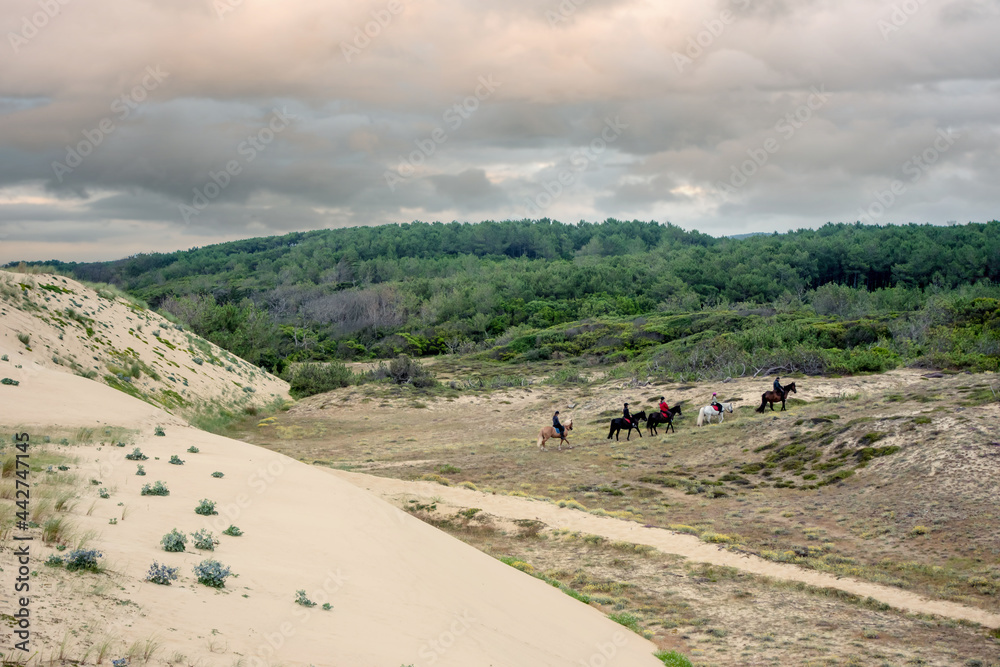 group of horse riders riding horses on the sand dunes