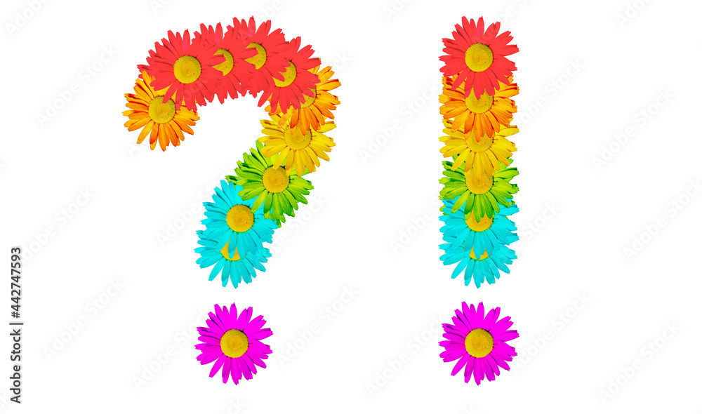 A question mark and an exclamation mark made of colorful daisies. The colors of the rainbow