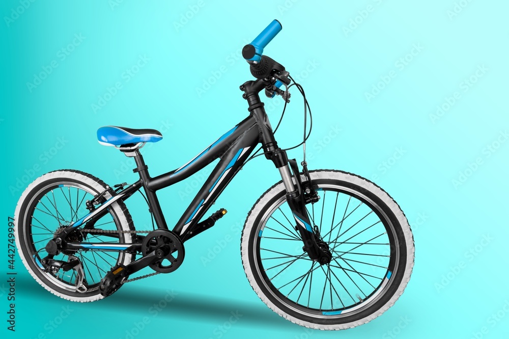 Fototapeta premium Bicycle.