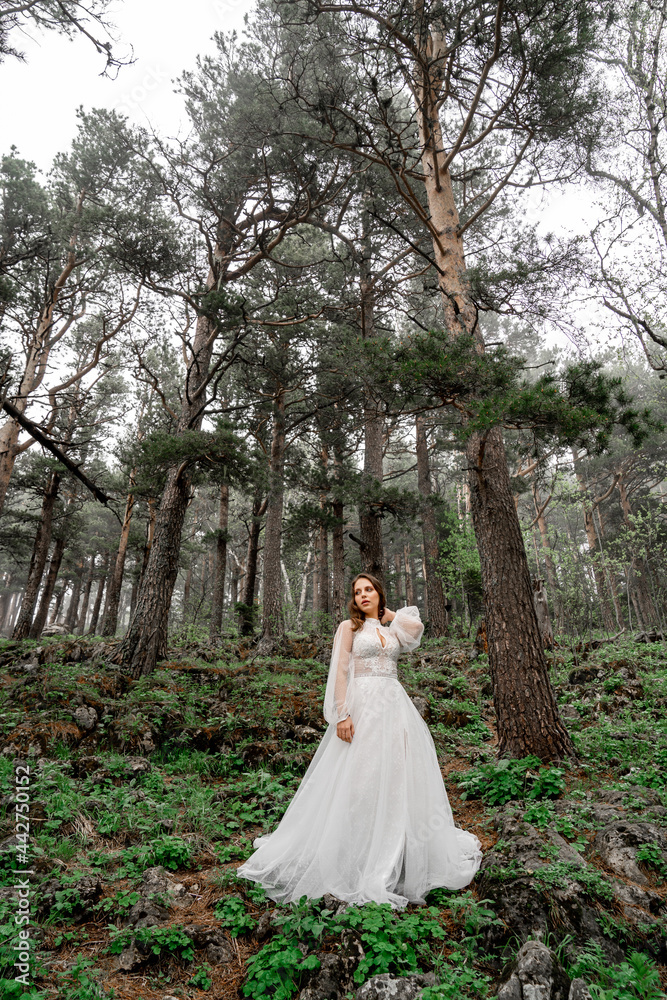 A bride in a white dress stands in the misty forest. 