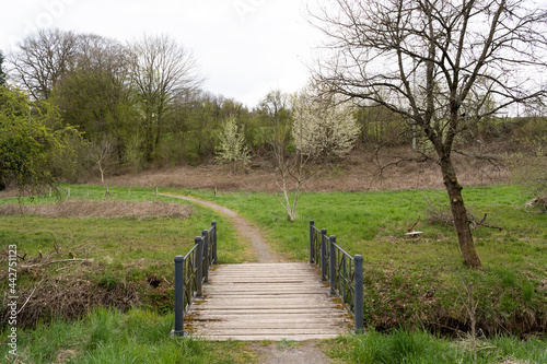 Bridge with wooden floor and green metal railings in the landscape  © Mentor