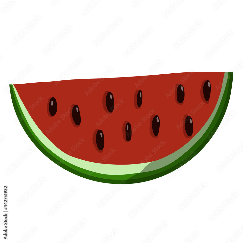 Hand-drawn slice of watermelon vector illustration. Farm organic watermelon for juice or salad. Vegetarian fruit for diet Hand-drawn slice of watermelon vector illustration. Farm organic watermelon for juice or salad. Vegetarian fruit for diet