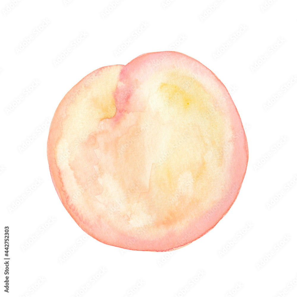 Peach. Watercolor. Hand drawn illustration. Peach. Watercolor. Hand drawn illustration.