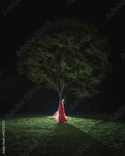 木のそばで踊るドレスを着た女性