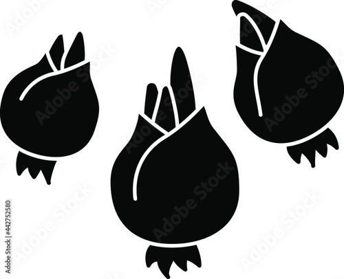 flower bulbs icon , vector 