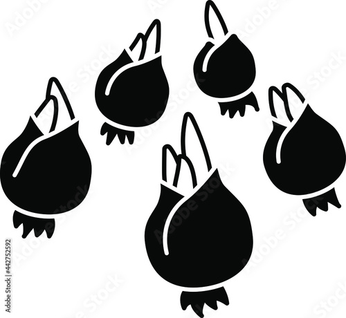 flower bulbs icon , vector 