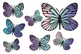 Butterflies black outlines silhouette set with modern gradient