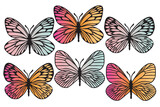 Butterflies outlines silhouette set with modern gradient. Clip art on white