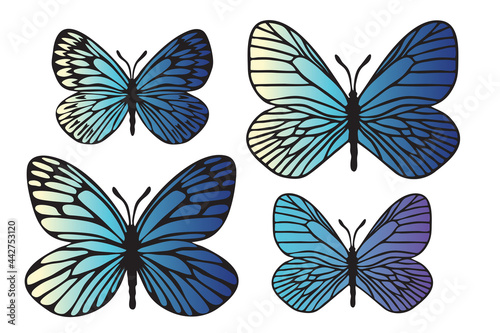 Butterflies black outlines silhouettes with modern gradient © Julia