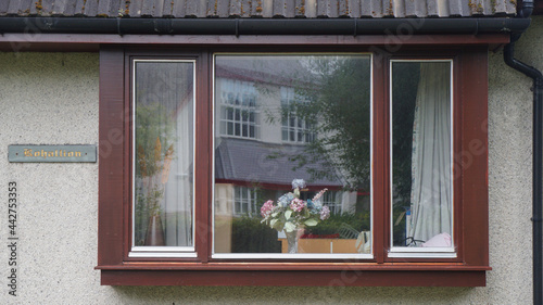 window with flowers  Ullapool  Scotland