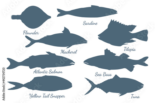 Icons with different sea fishes made in flat style