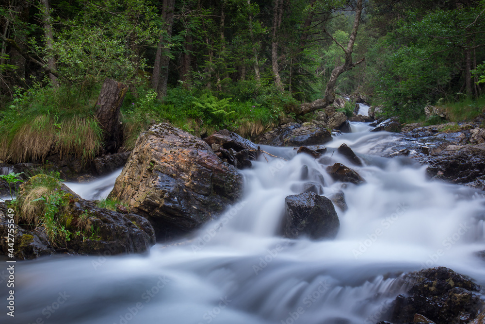 river falling among the rocks and trees of the green  forest