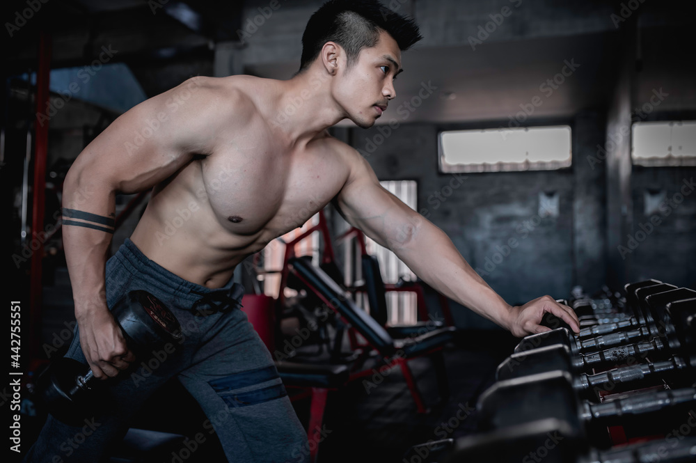 Handsome man working out in the gym, Asian man doing weightlifting to compete in sports,Pull up dumbbell for back training muscle Handsome man working out in the gym, Asian man doing weightlifting to compete in sports,Pull up dumbbell for back training muscle