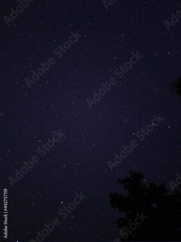 starry night sky © Ekaitz