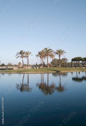 Palm trees behind a lake in 'Costa Ballena', Rota, Cádiz, Spain