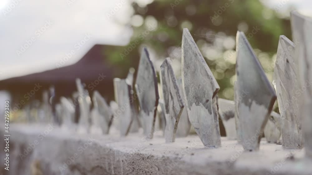 Smashed broken pieces of mirror and glass, sharp as knives, sticking ...