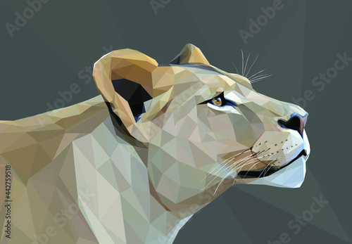 Geometrical, low poly, illustration of a lioness head from the side.