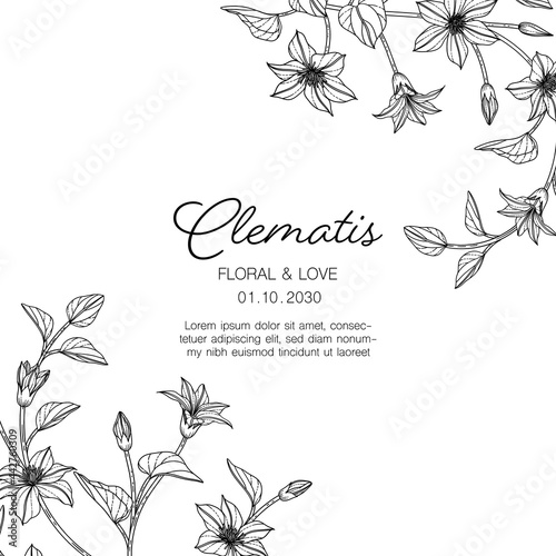 Hand drawn clematis floral greeting card background..