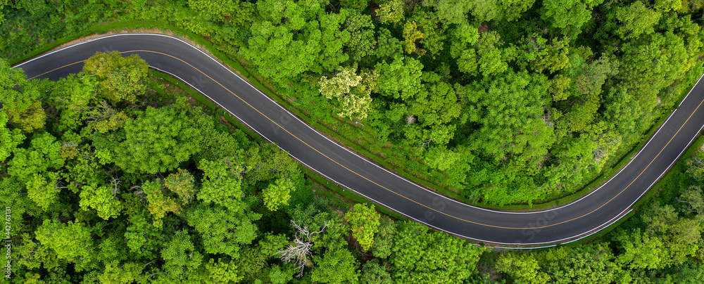 Winding road in the forest The top view of the beautiful Aerial view of asphalt road, the highway through the forest in the rainy season. For traveling and driving nature. Banner panorama background