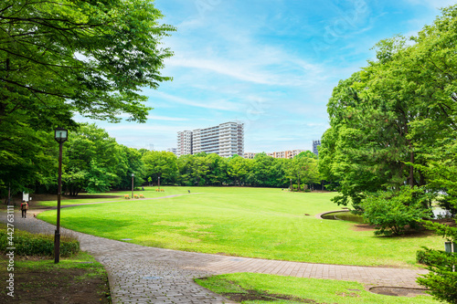 青空と緑の公園広 photo
