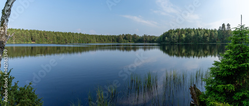 panorama landscape of lush green summer forests with a calm and picturesque lake in the wilderness