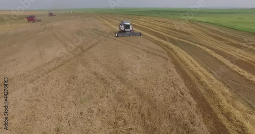 Top-down view of harvesters working in a wheat field photo