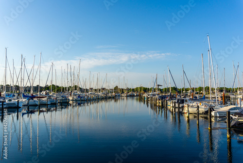 view of the marina and yacht harbor in Middelfart in southern Denmark in warm evening light © makasana photo