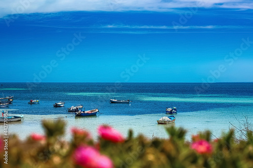 A beautiful view of the Mediterranean coast with birch water, a beach with white sand and a green palm tree.