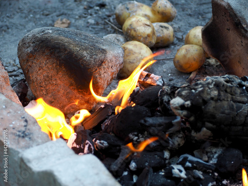 unpeeled potatoes during a picnic lie against the background of a fire and stones. side view
