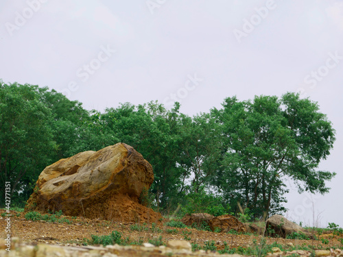 Huge big stone rock presented on green tree with sky background.