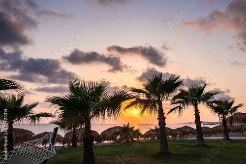 Tropical palm tree, summer sunset. background relax