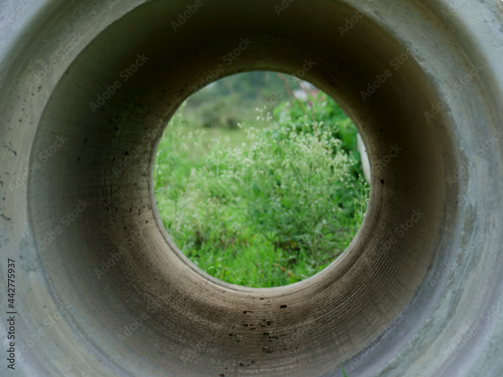 Concrete pipe center circle green nature view. Concrete pipe center circle green nature view.