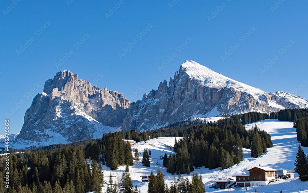 Snowy landscape with trees on Seiseralm, Italy