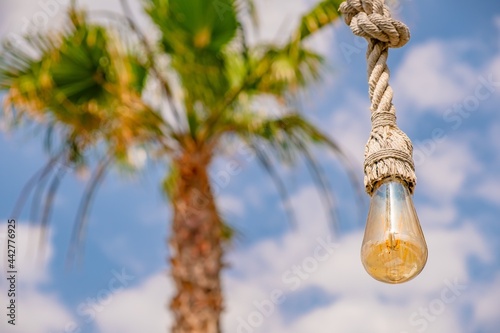 Palm tree, summer blue sky....
