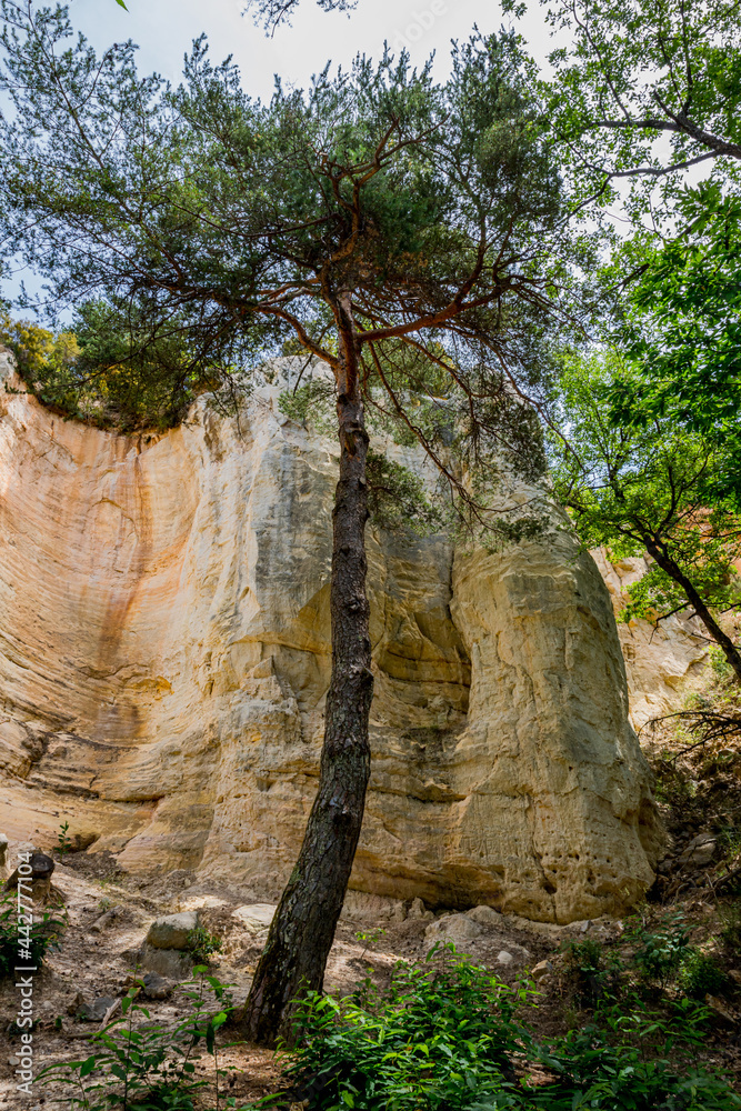 Le colorado Provençal de Rustrel Le colorado Provençal de Rustrel