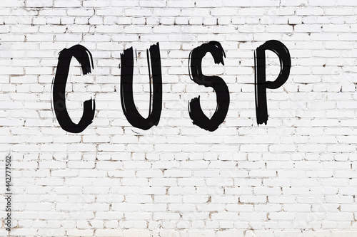 Fotografie White wall with black paint inscription cusp on it