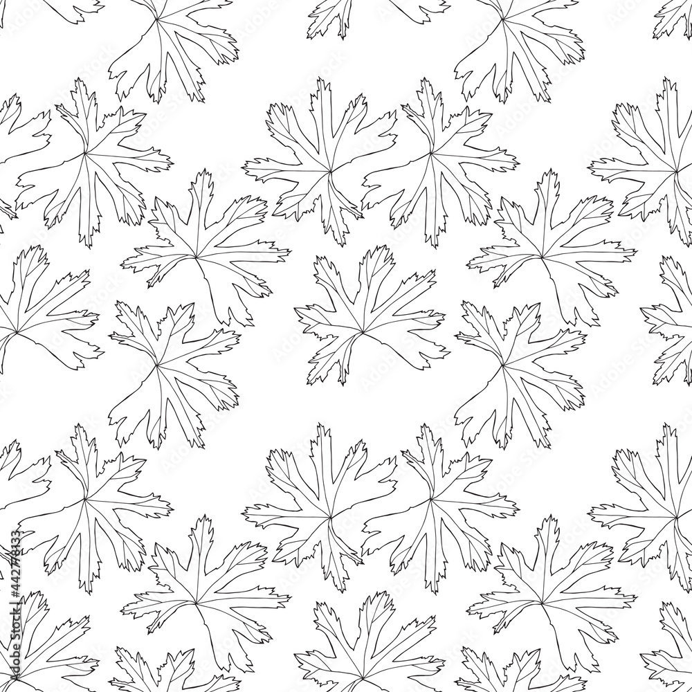 Seamless pattern. Vector illustration with leaves. Doodle sketch.