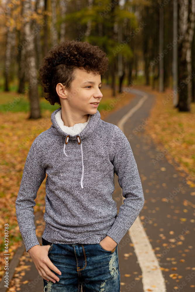 Fototapeta premium Curly brown-haired boy with a mohawk hairstyle in a leather jacket on an autumn background