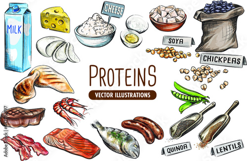 Proteins Vector Set that contains hand-drawn illustrations of both plant and animal-based protein photo