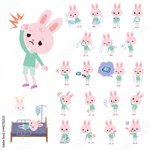怪我や病気状態のうさぎの男の子のセット