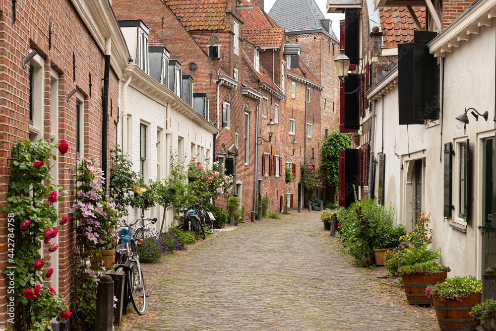 A narrow street with flower pots in Amersfoort.