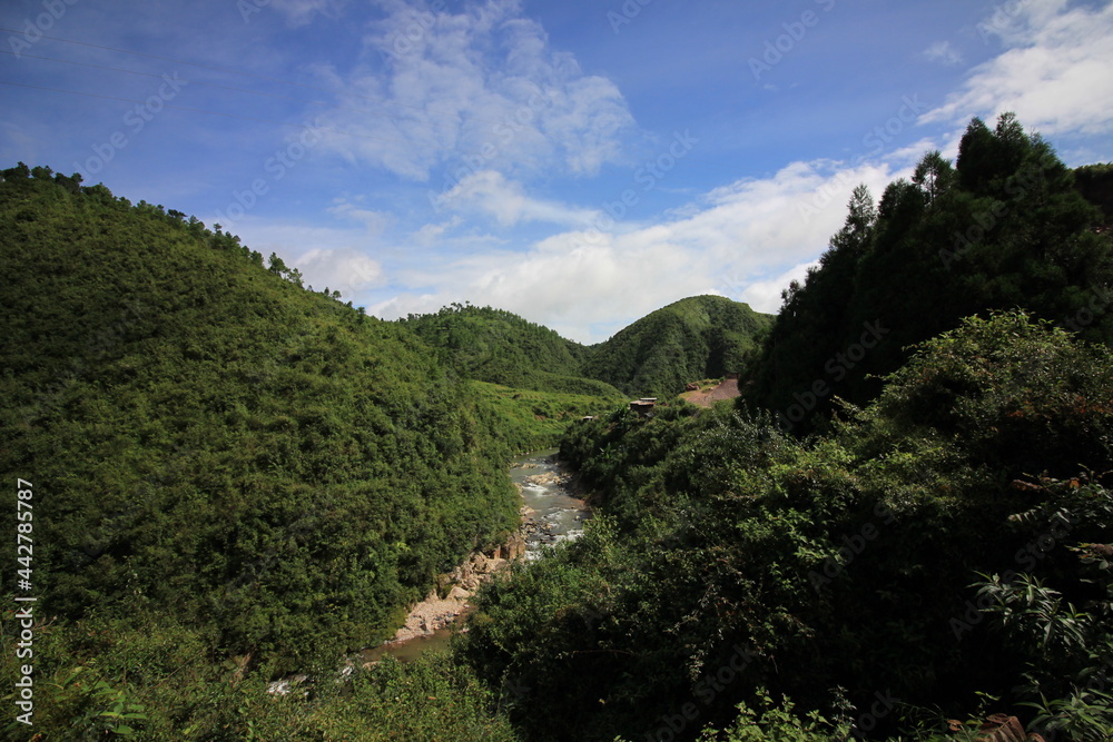 forested  hills with clear blue skies and streams gushing through 