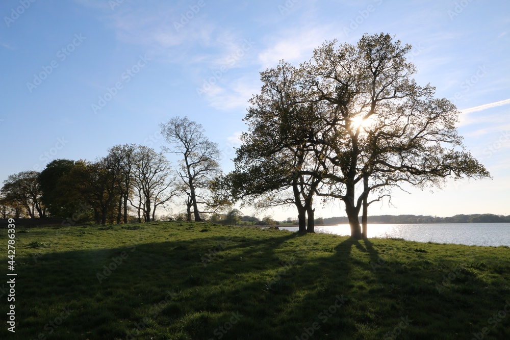 Scenic fjord landscape with bare trees and sunshine. Scenic fjord landscape with bare trees and sunshine.