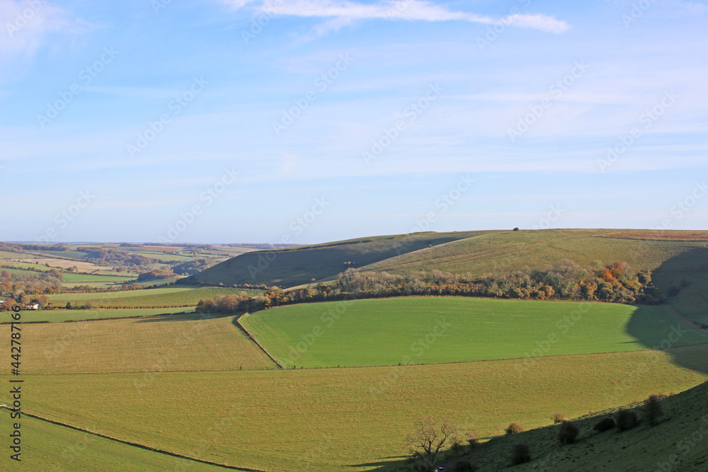 Fields at Monks Down in Wiltshire	