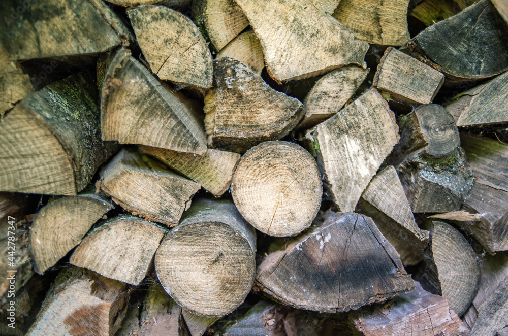 Fototapeta premium A pile of firewood. Preparation of firewood for the winter. Firewood background