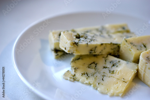 White cheese with blue mold on a plate