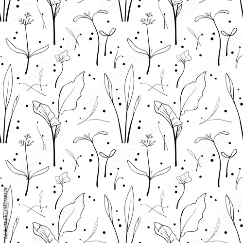Seamless pattern with corn, dill, kale sprouts background. Sketch microgreen seeds vector illustration.