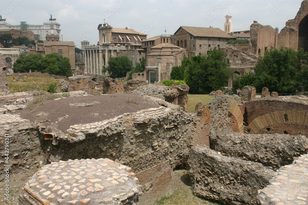 The Roman Forum in Rome Italy